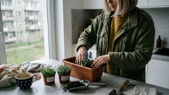 Mniej pielenia w sezonie: trzy niskie byliny okrywowe, które szybko domykają rabatę