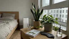 Rośliny do sypialni z „listy NASA”: co naprawdę mówi badanie Wolvertona i które gatunki warto mieć